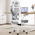 Ergalithic Ergonomic Office Chair - Computer Desk Chairs Comfy, Mesh High-Back Gaming Chair with Adjustable Lumbar Support, Executive Task Chair for Adults, Comfortable for Long Hours (Grey Silver)